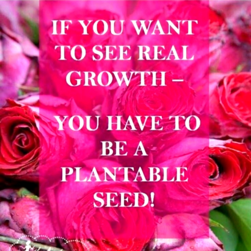 Meet your Posher, Paula